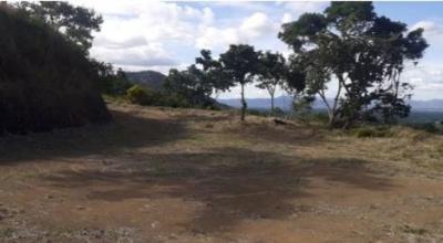 118392 - Tonosí - lots