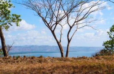 118393 - Tonosí - lotes