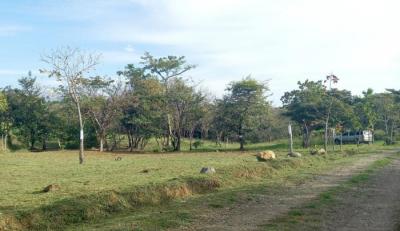 118884 - San jose - san carlos - lotes