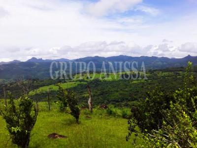 119699 - Sora - fincas