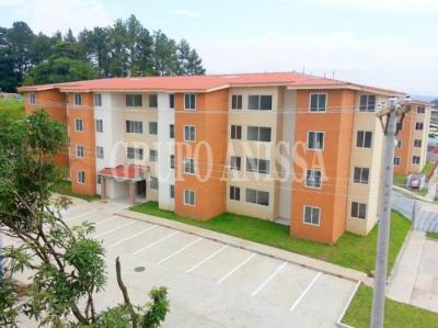 119706 - Villa zaita - apartamentos - terrazas del bosque