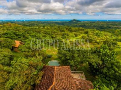 119816 - La laguna - fincas