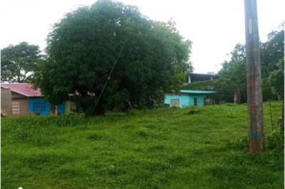 120131 - Pedregal - lotes