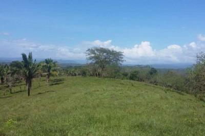 120514 - Chilibre - lotes