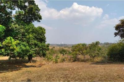 120588 - Antón - lotes