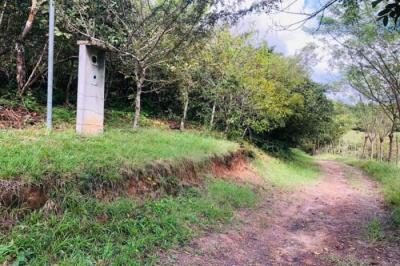 120730 - El espino - lotes