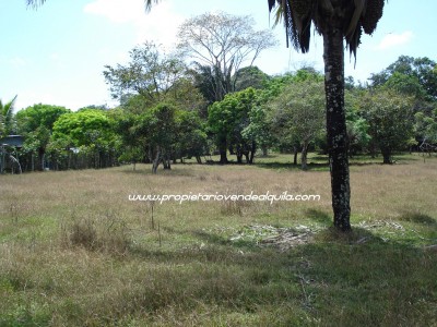 12146 - Chilibre - fincas