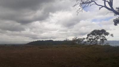 123499 - Tonosí - lotes