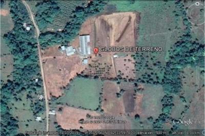 123559 - Boquerón - propiedades