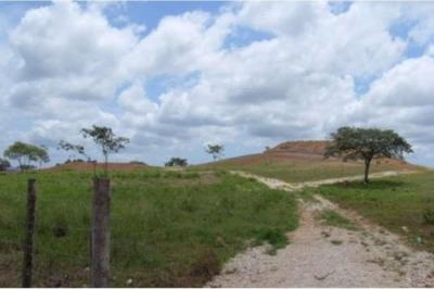 124005 - Pocri - aguadulce - lotes