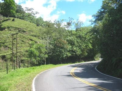 12441 - Bugaba - lots