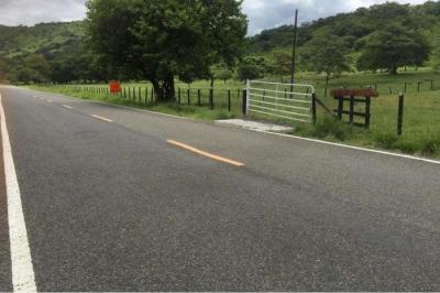 124413 - La Pintada - lotes