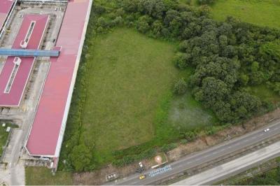 124987 - Pacora - lotes