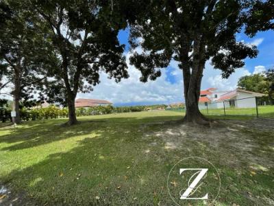 125124 - Antón - lotes