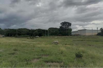 125521 - Chitré - lots