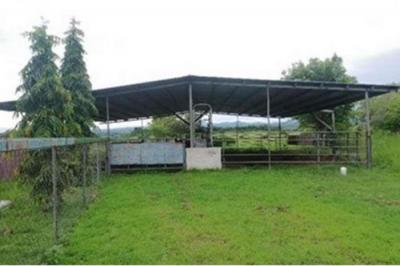 127642 - Ocú - lotes