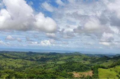 127662 - Cañita - propiedades