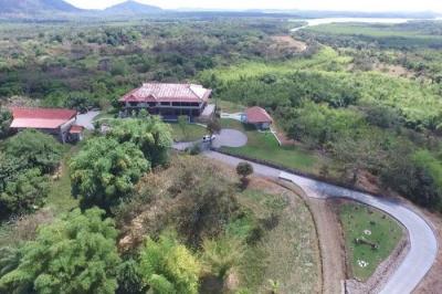 127693 - David - investments