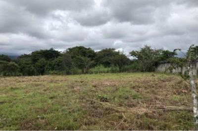 127722 - Cabuya - lotes