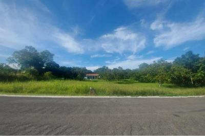 127730 - Coronado - lots