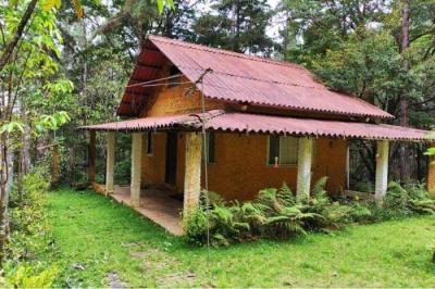 127806 - Cerro azul - casas