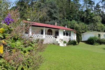 127855 - El valle de anton - casas