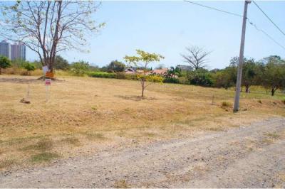 127931 - Coronado - lots