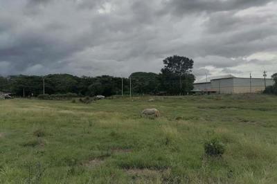 128075 - Chitré - lotes