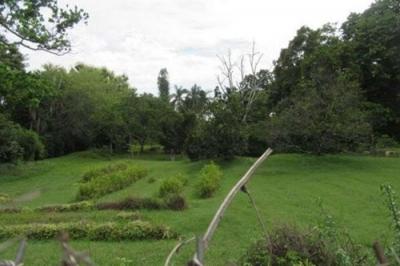 128089 - Antón - lotes