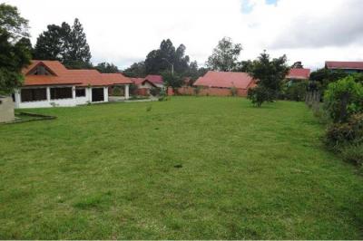 128117 - Alto boquete - lotes