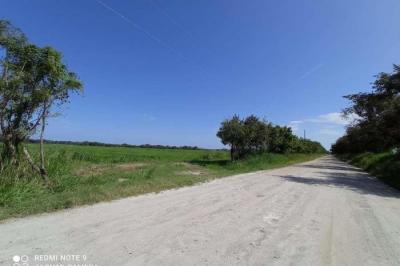 128124 - El chiru - lotes