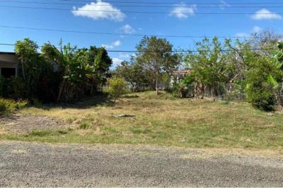 128295 - Las Tablas - lotes