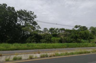 128389 - El higo - lotes