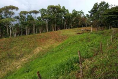 128441 - Capira - lots