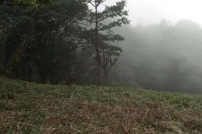 128467 - Altos del maria - lotes