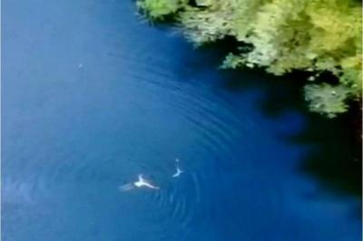 128482 - Potrerillos - propiedades