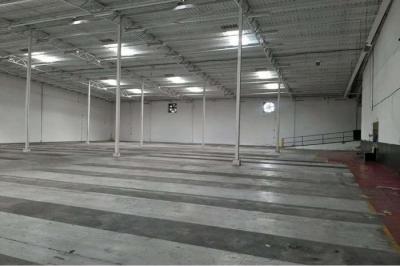 128504 - 12 de octubre - galeras