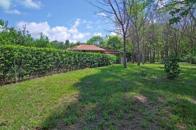 128600 - Las uvas - lots