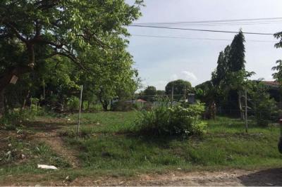 128607 - Nueva gorgona - lotes