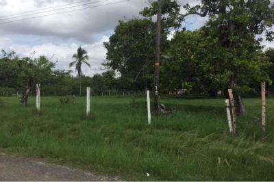 128633 - El chiru - lotes