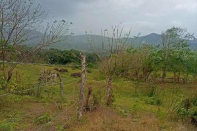 128678 - Capira - properties