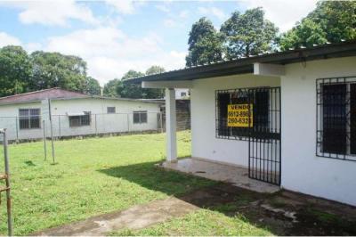 128755 - David - lotes