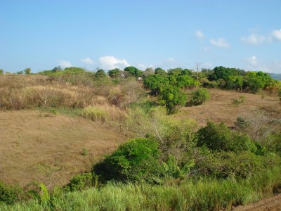 1289 - Las mañanitas - lotes