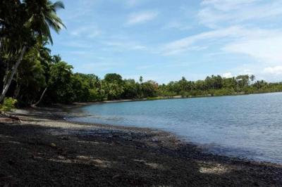 128945 - Remedios - propiedades