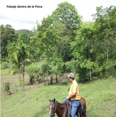 12931 - Ciudad de Panamá - fincas