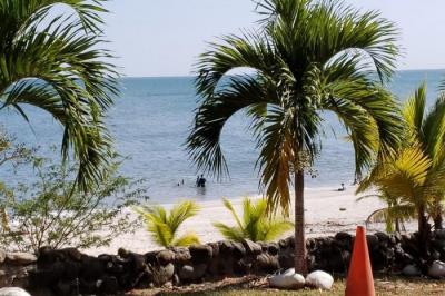 129690 - San carlos - apartamentos