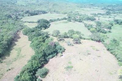 130066 - Natá - lotes