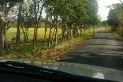 130083 - Juan diaz - lotes