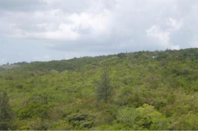 130493 - Santa Fe - lotes