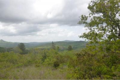 130512 - San Francisco - veraguas - lotes